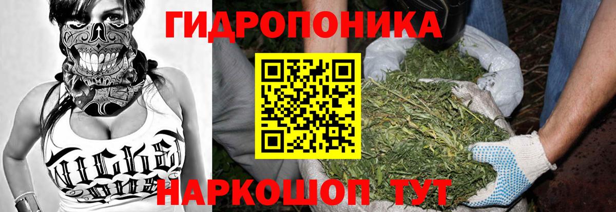 Курчатов  Каннабис MAZAR  МАРИХУАНА конопля  Вход с VPN  Конопля MAZAR 