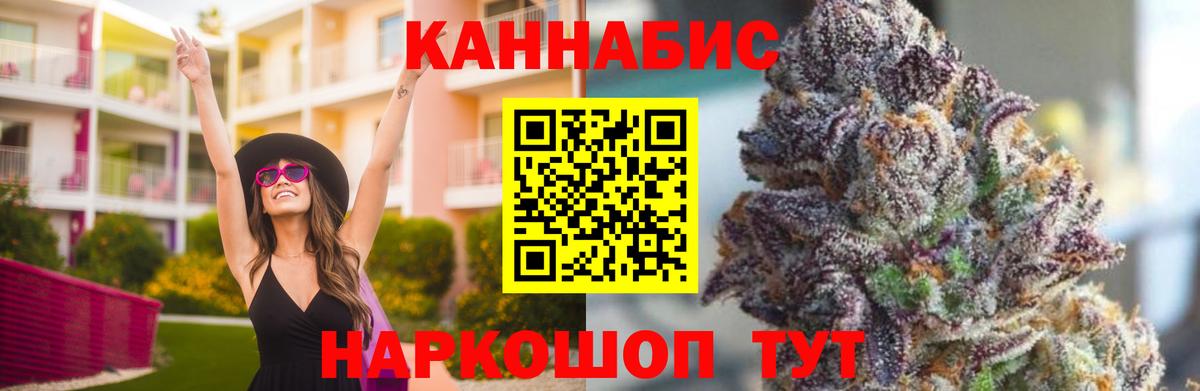 Марихуана гибрид Курчатов